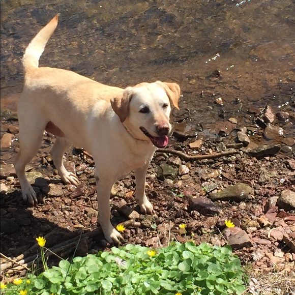 Meet your Posher, Stephanie - Picture 2 of 2